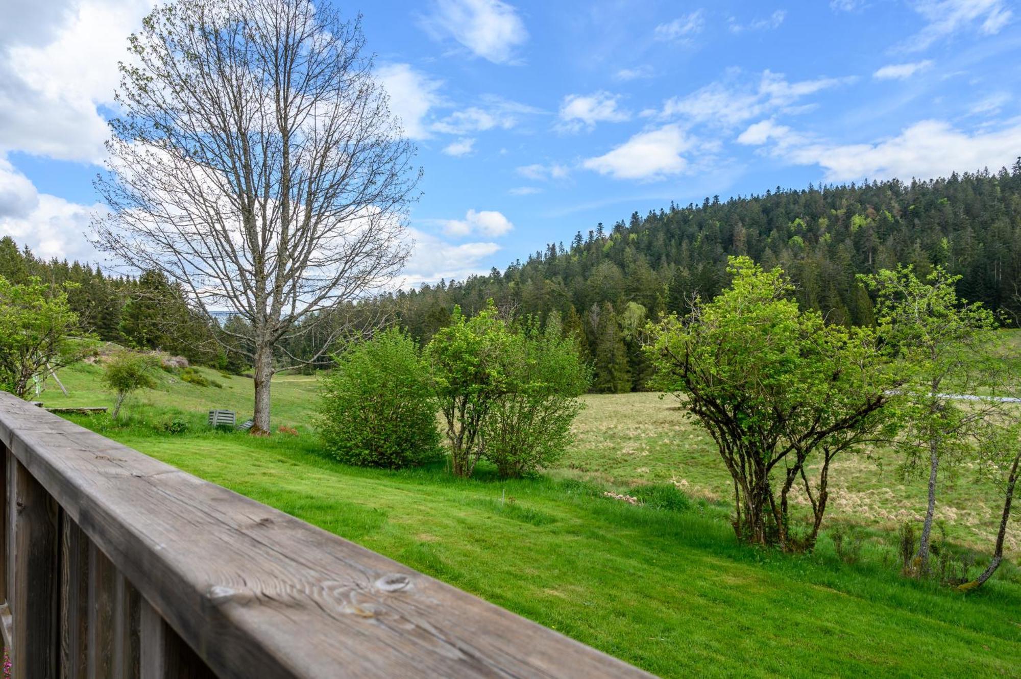 Gite La Ramee Ban-sur-Meurthe-Clefcy Екстериор снимка